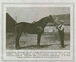 Germino