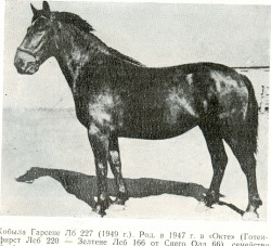 Gārsene