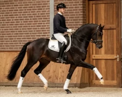 My Blue Hors Santiano