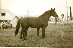 Dagra