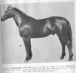 Limbažnieks