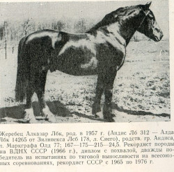 Alkazars