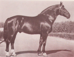 Gausais