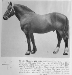 Alkazārs