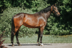 Legara