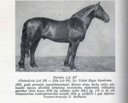 Gausais