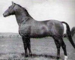 Ozean