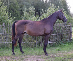 Demetra