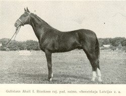 Gulistans