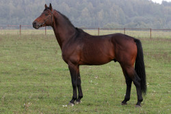 Legato