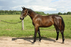 Eritra