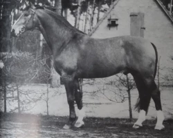 Duft II