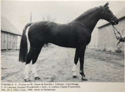 Furioso II