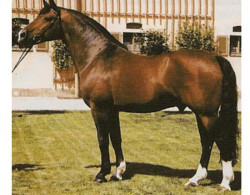 Valerius  Mo 1478