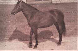 Aza