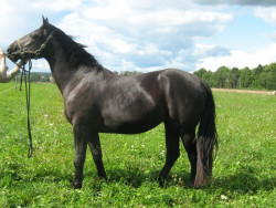 Delavēra