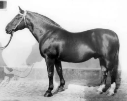 Eros   Mo 1222